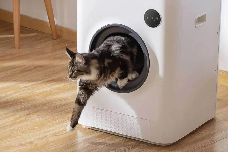 automatic catbox